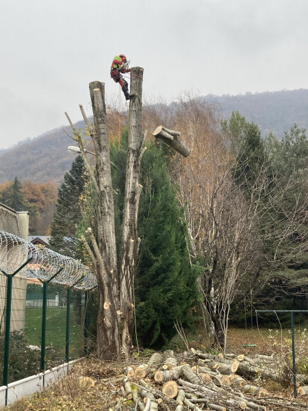 Abattage d'arbre Grenoble	