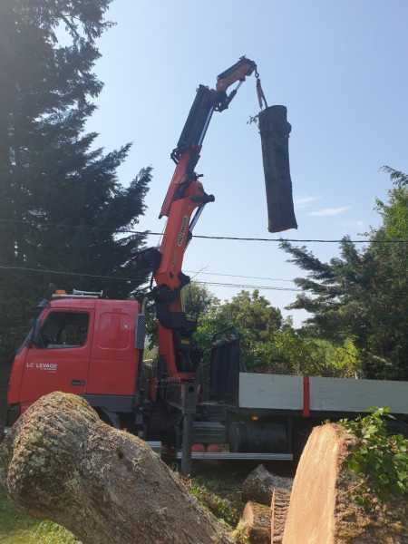 Abattage d'arbre Grenoble	